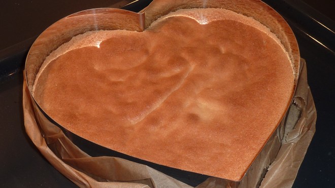 Mango-Maracuja-Käse (16)