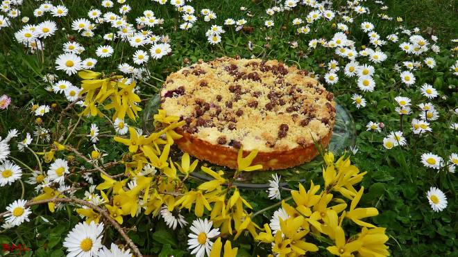 Quarkstreuselkuchen (10)