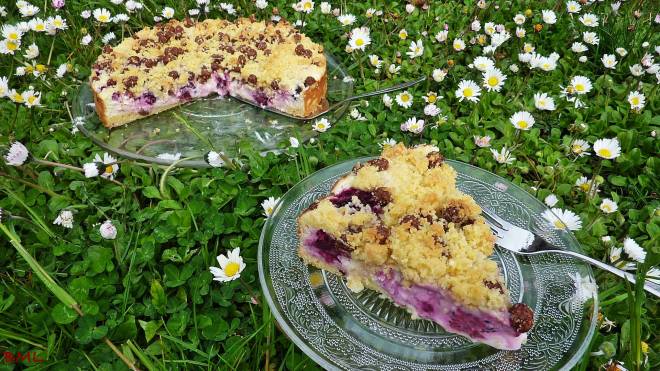 Quarkstreuselkuchen (15)