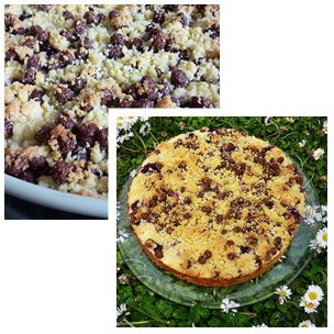 Quarkstreuselkuchen3