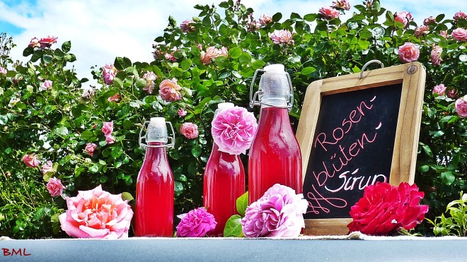 Rosenblütensirup (17)