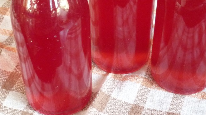 Rosenblütensirup (5)