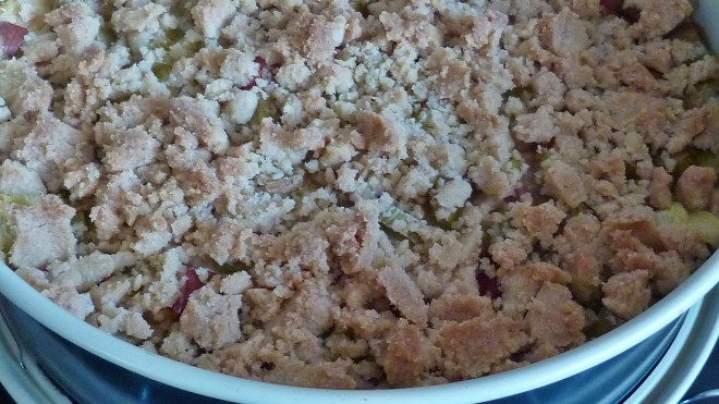 Streusel-Rhabarber (8)