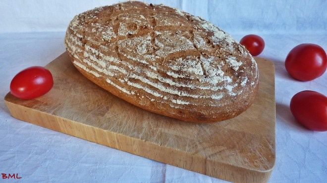 rostzwiebelbrot-15
