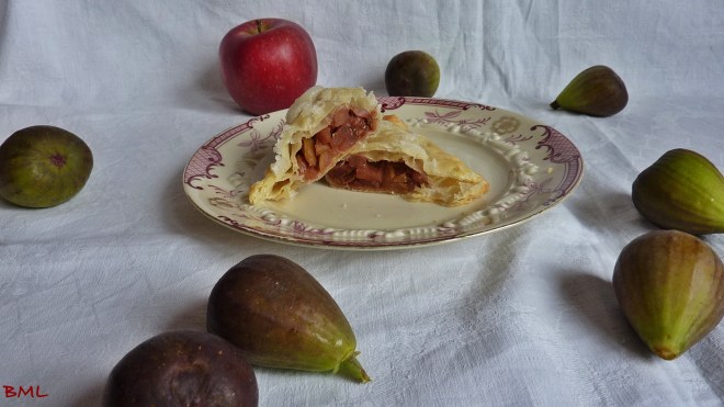 apfeltaschen-19