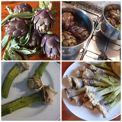 Artischocken1