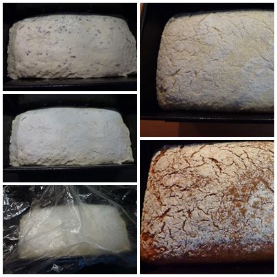 Glutenfreies Brot2