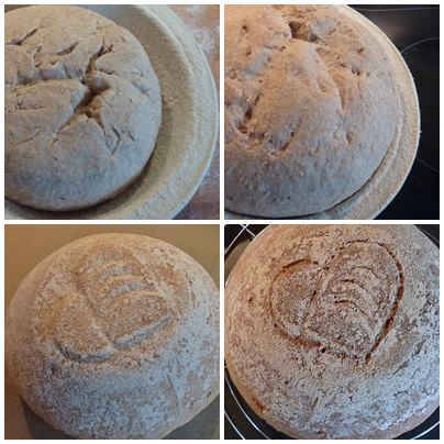 Weizenvollkornbrot3