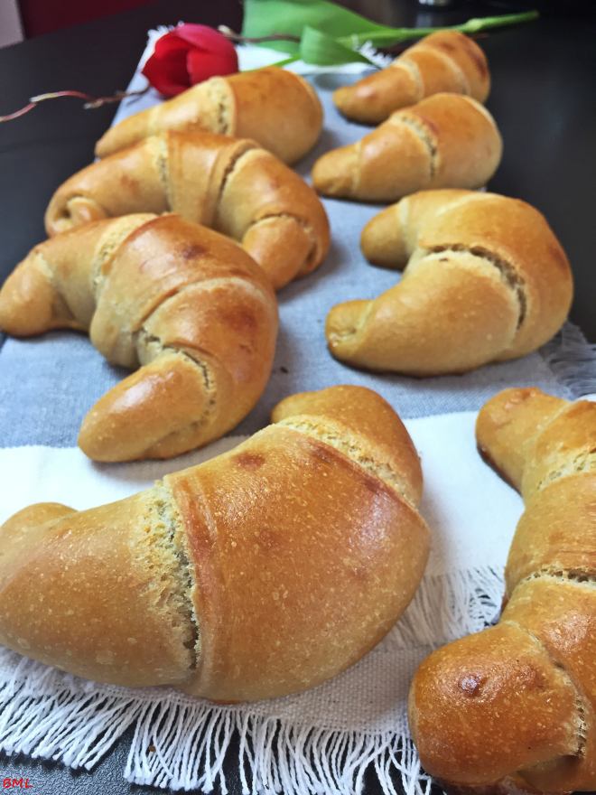 Dunkle Hörnchen (10)