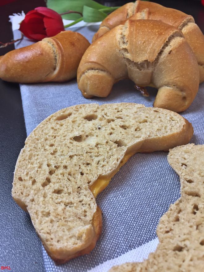 Dunkle Hörnchen (12)