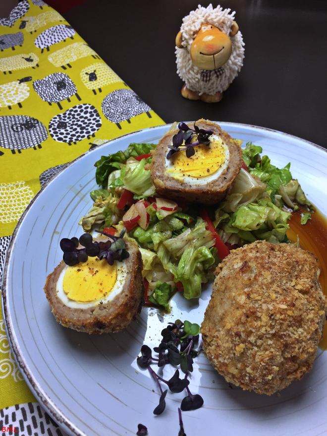 Schottische Eier (18)