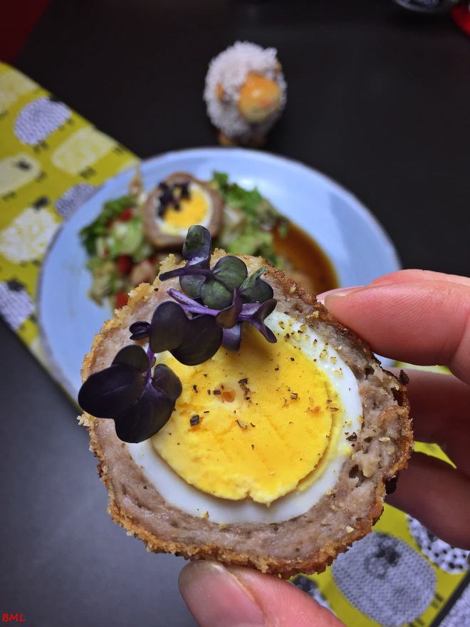 Schottische Eier (20)