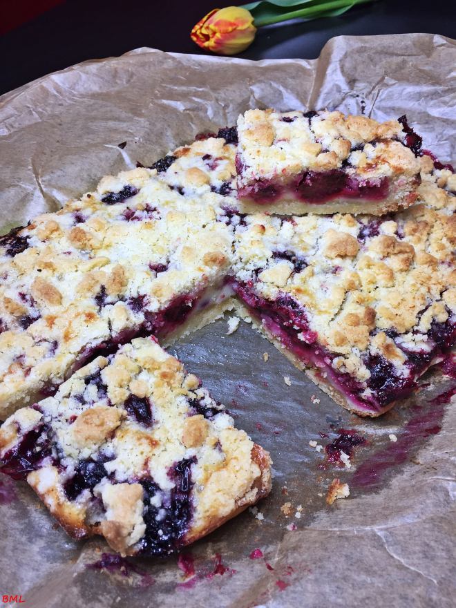 Brombeerstreuselschnitten (16)