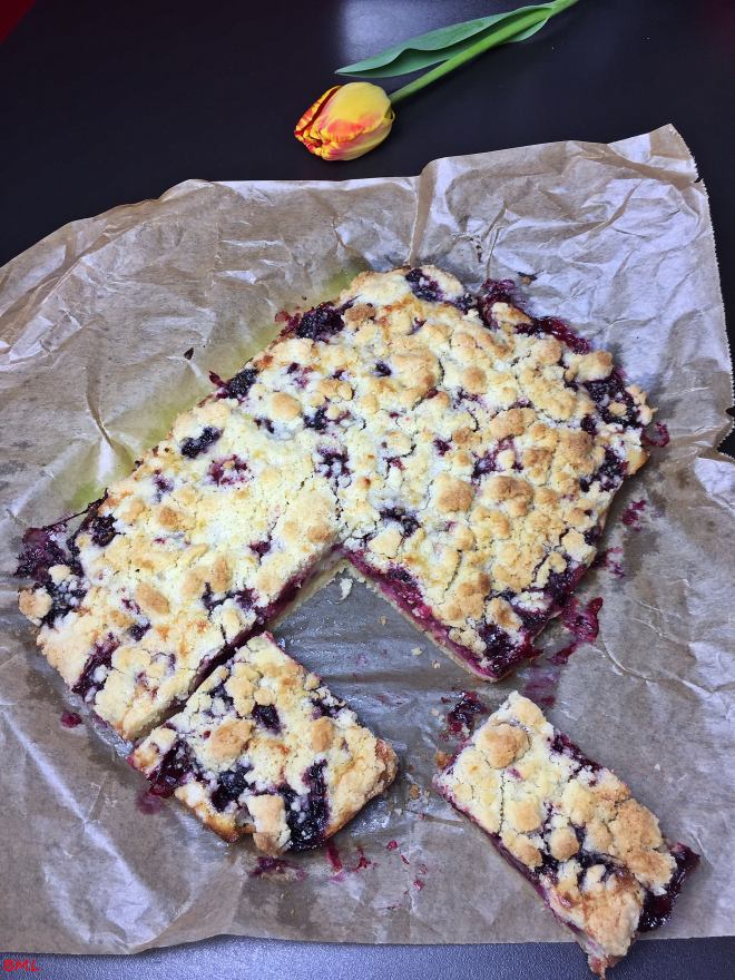 Brombeerstreuselschnitten (18)