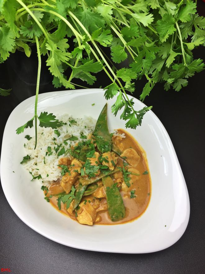 Chicken Korma (16)
