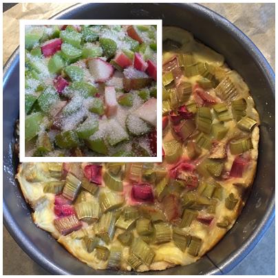 Rhabarber-Pudding-Kuchen3