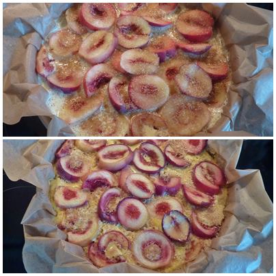 Reiskuchen4