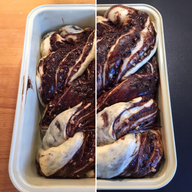 Schokoladenbabka (30)