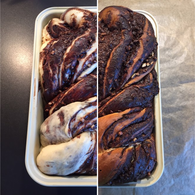 Schokoladenbabka (32)
