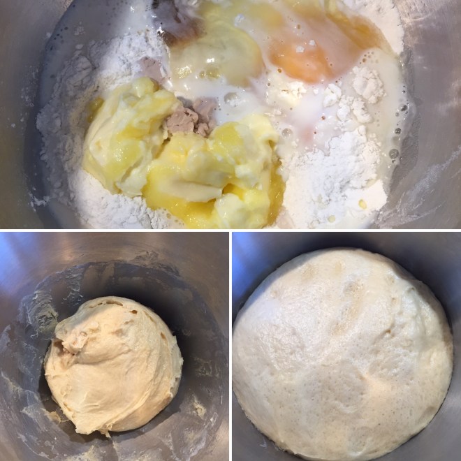 Schokoladenbabka (34)