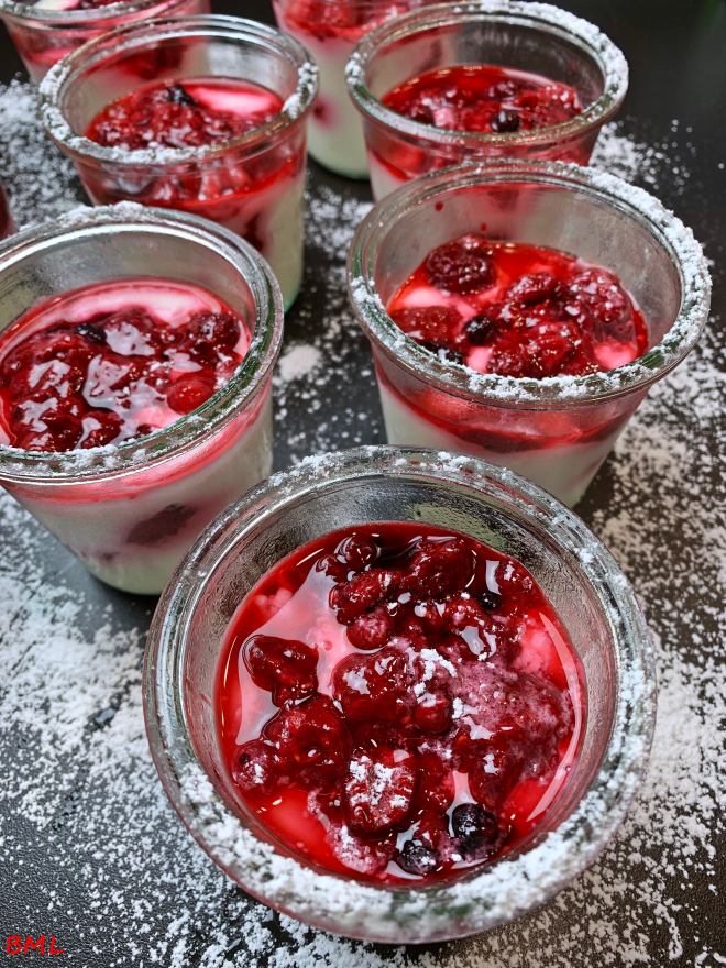 Joghurtdessert (19)