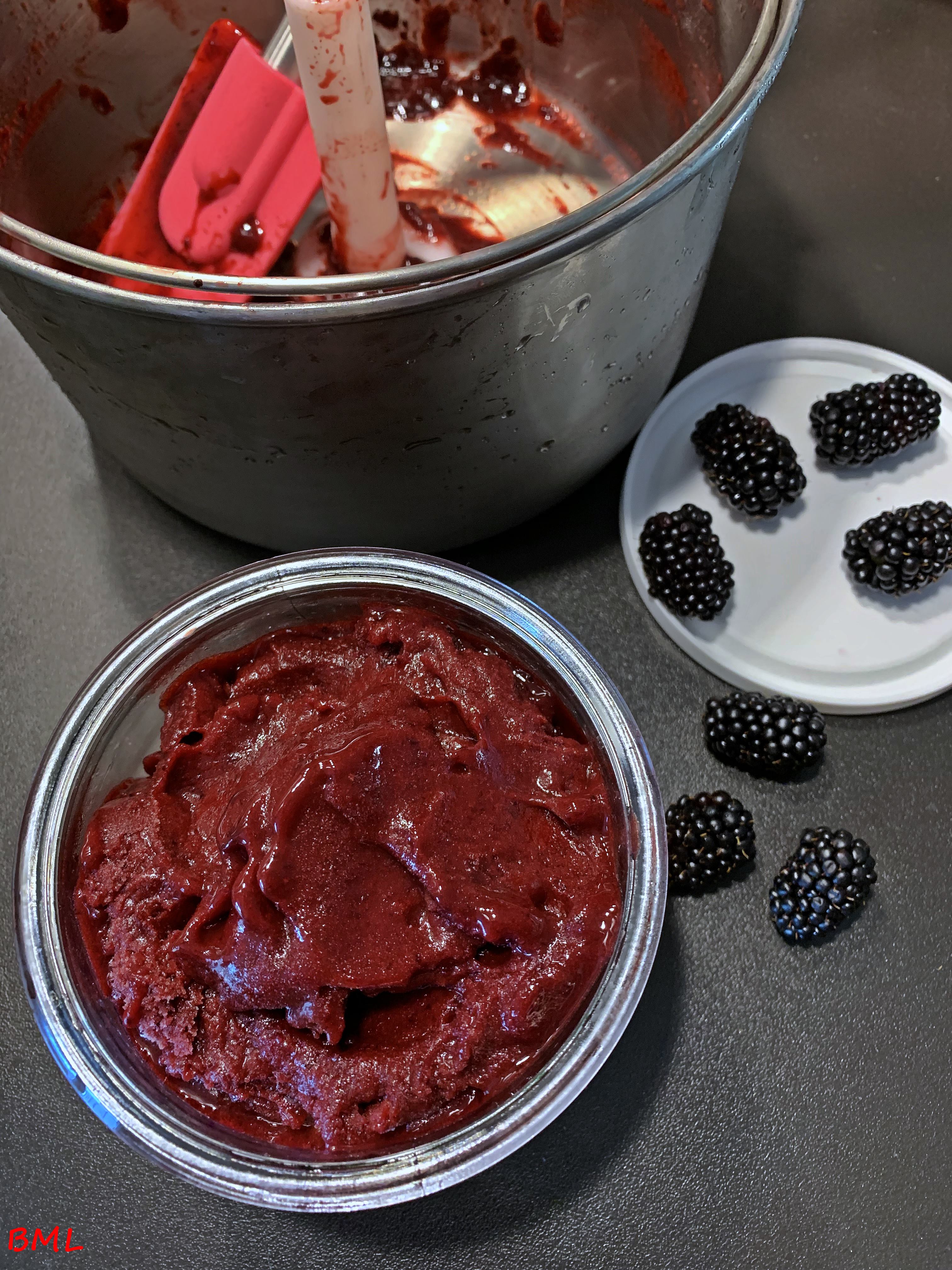 Brombeer-Limoncello-Sorbet…eiskalt, erfrischend, lecker | Backen mit ...