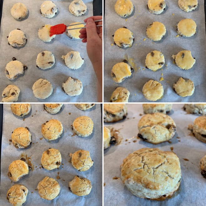 Scones (20)
