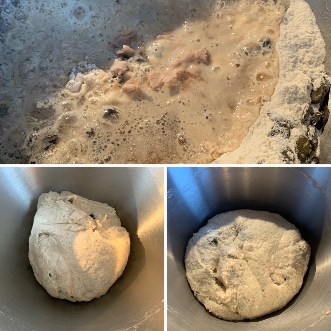 Haferflockenbrot (21)