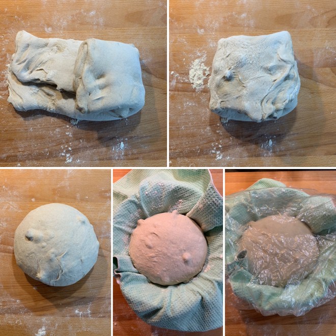 Dinkel-Mischbrot (2)