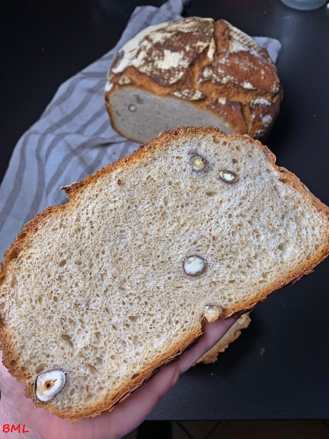 Dinkel-Mischbrot (29)