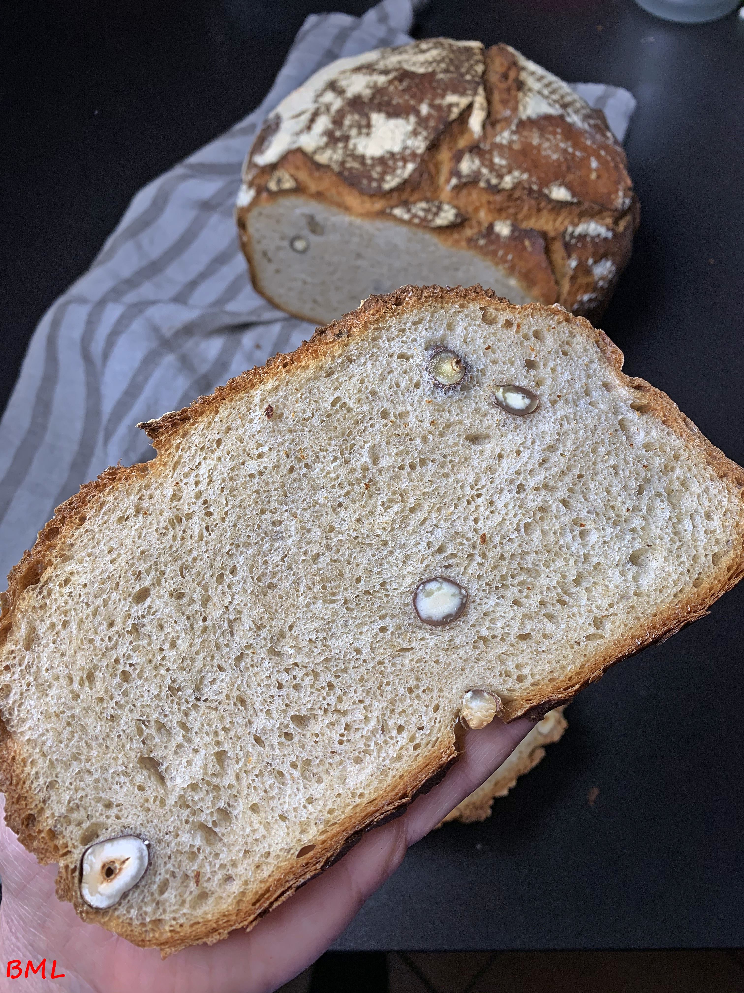 Dinkel-Mischbrot mit Haselnüssen…ein grosses Topfbrot | Backen mit ...