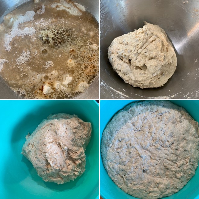 Saatenbrötchen (10)