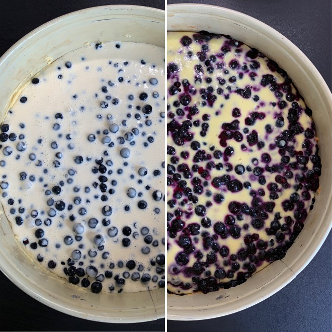 Blaubeerkuchen (1)
