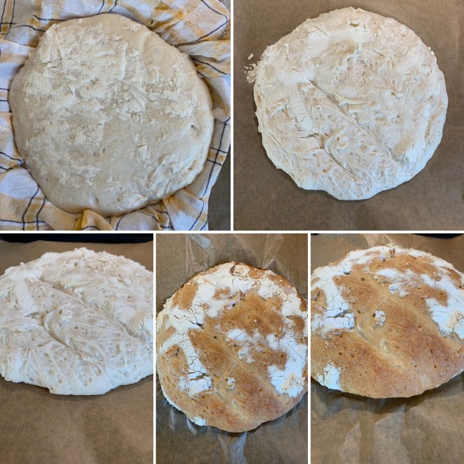 Toskanisches Brot (11)