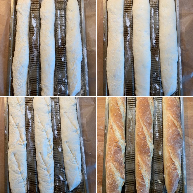 Baguette (13)