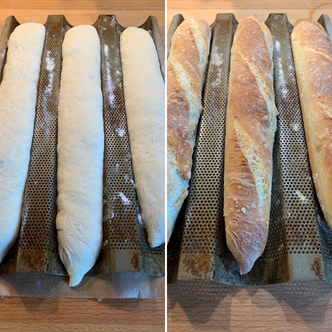Baguette (15)