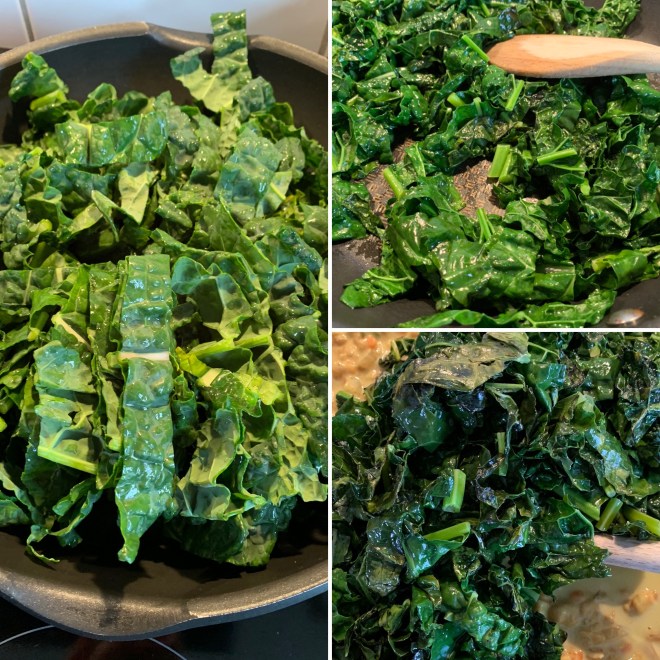 Schwarzkohl-Dhal (11)