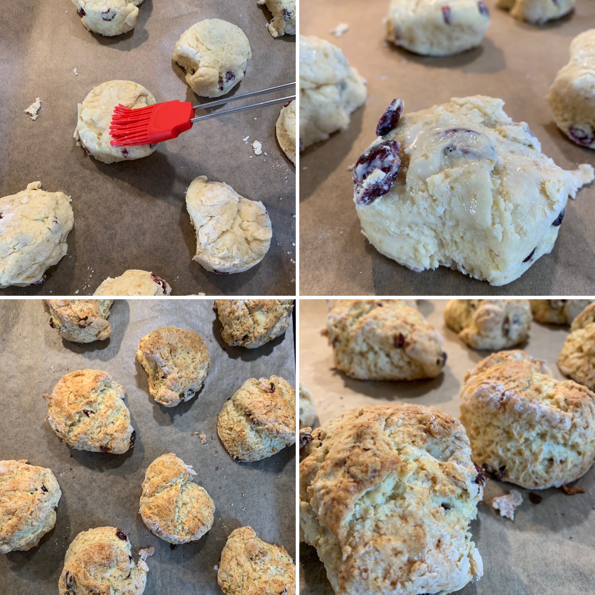 Scones (6)