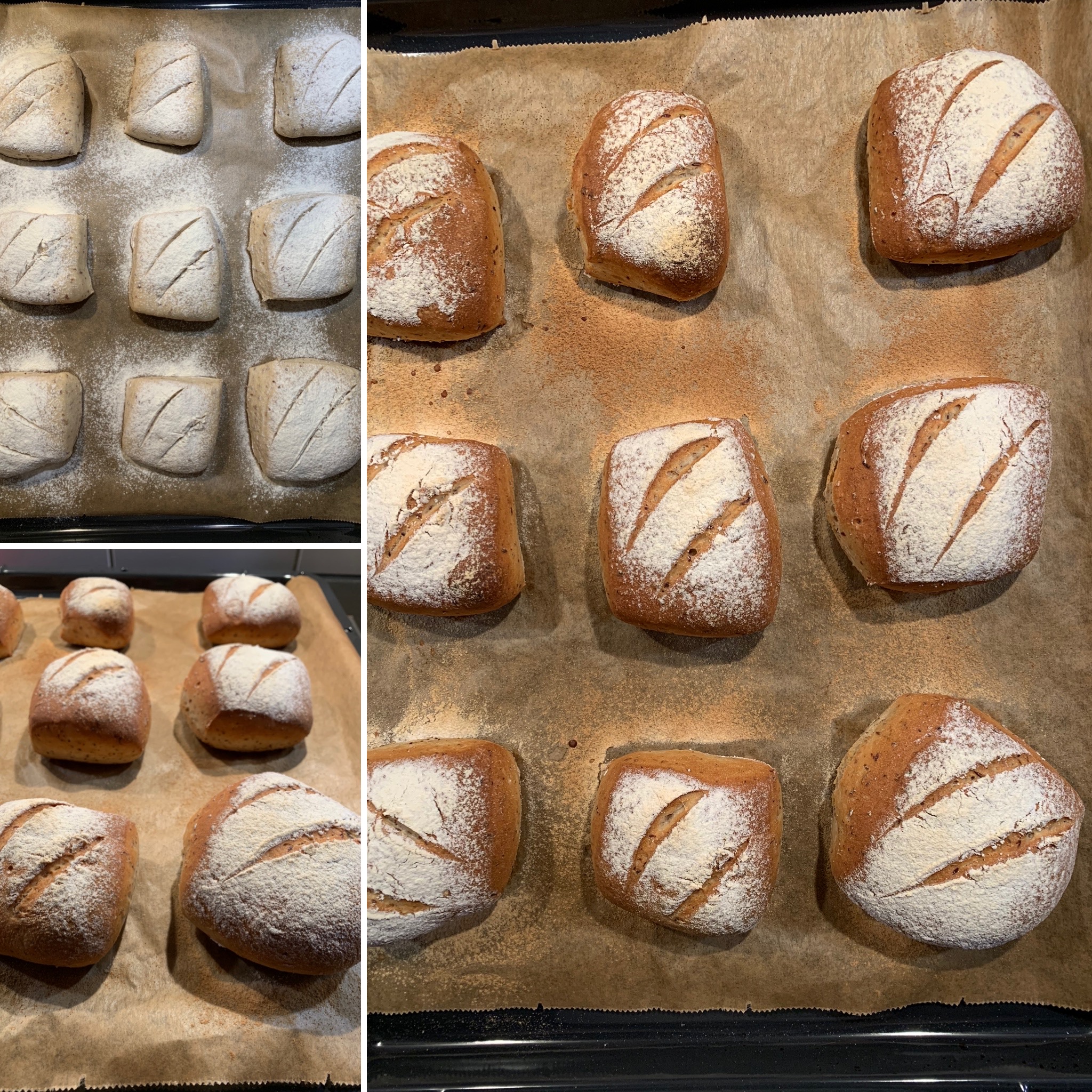 Dinkelbrötchen (10)