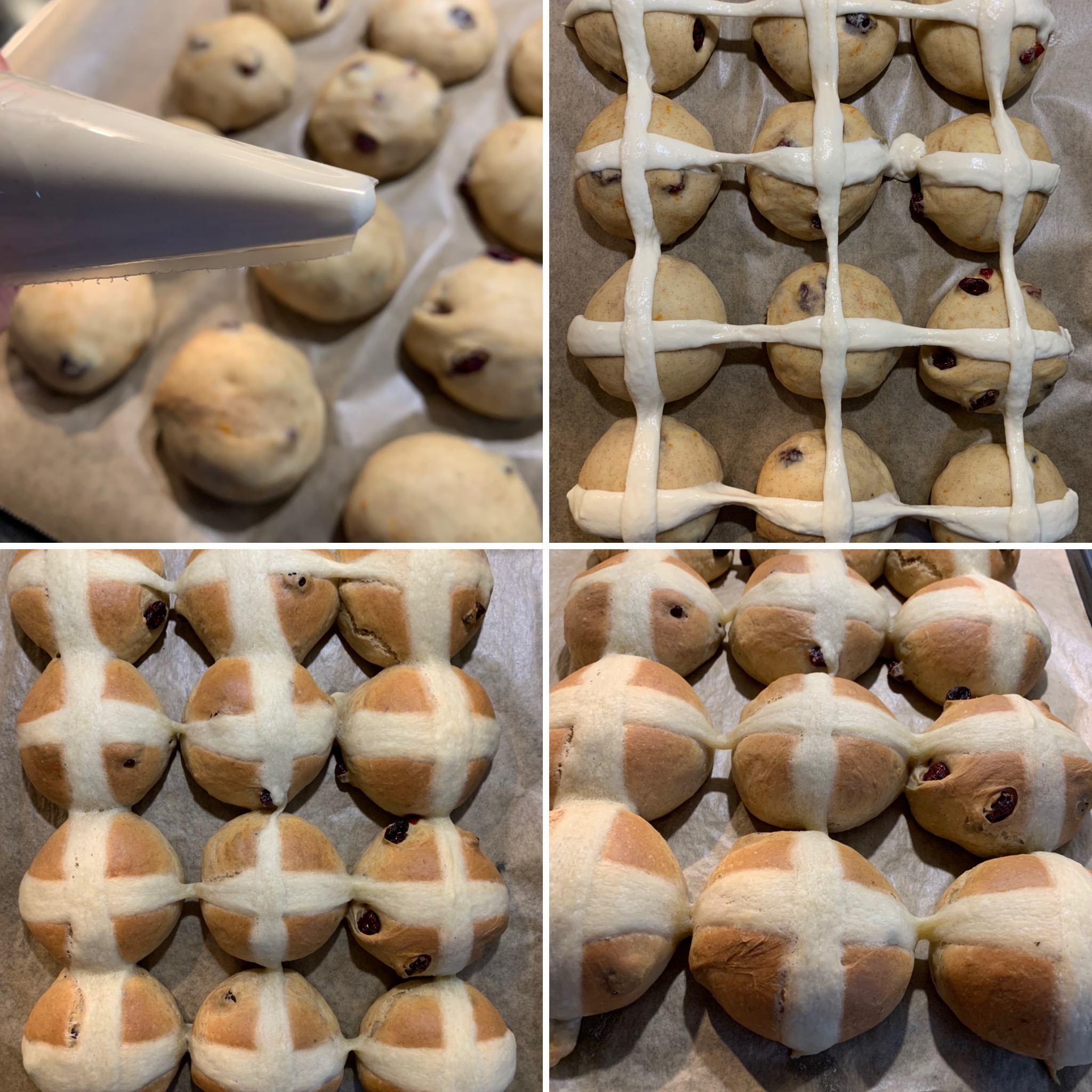 Hot Cross Buns (5)