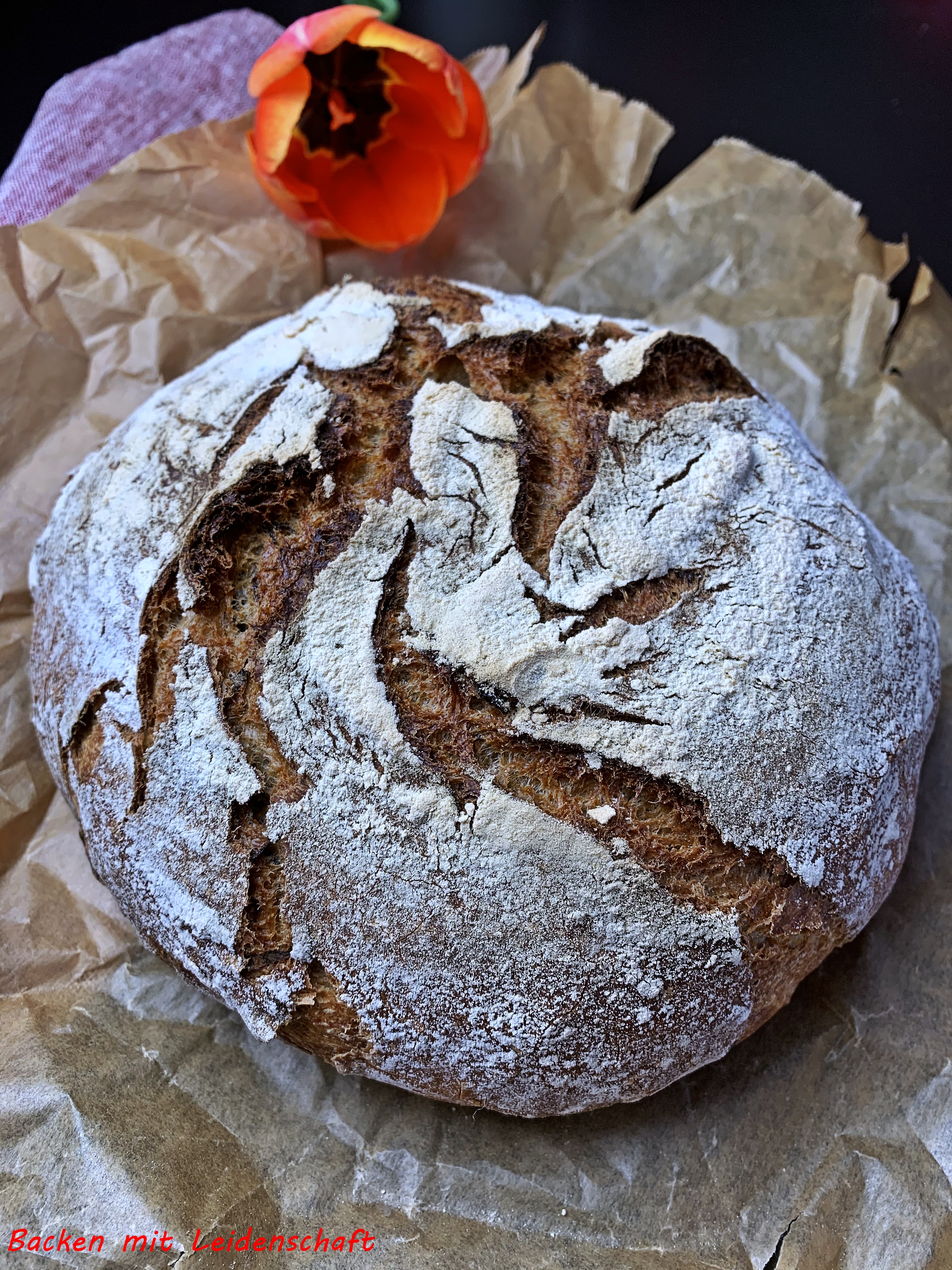 Bärlauchbrot (13)