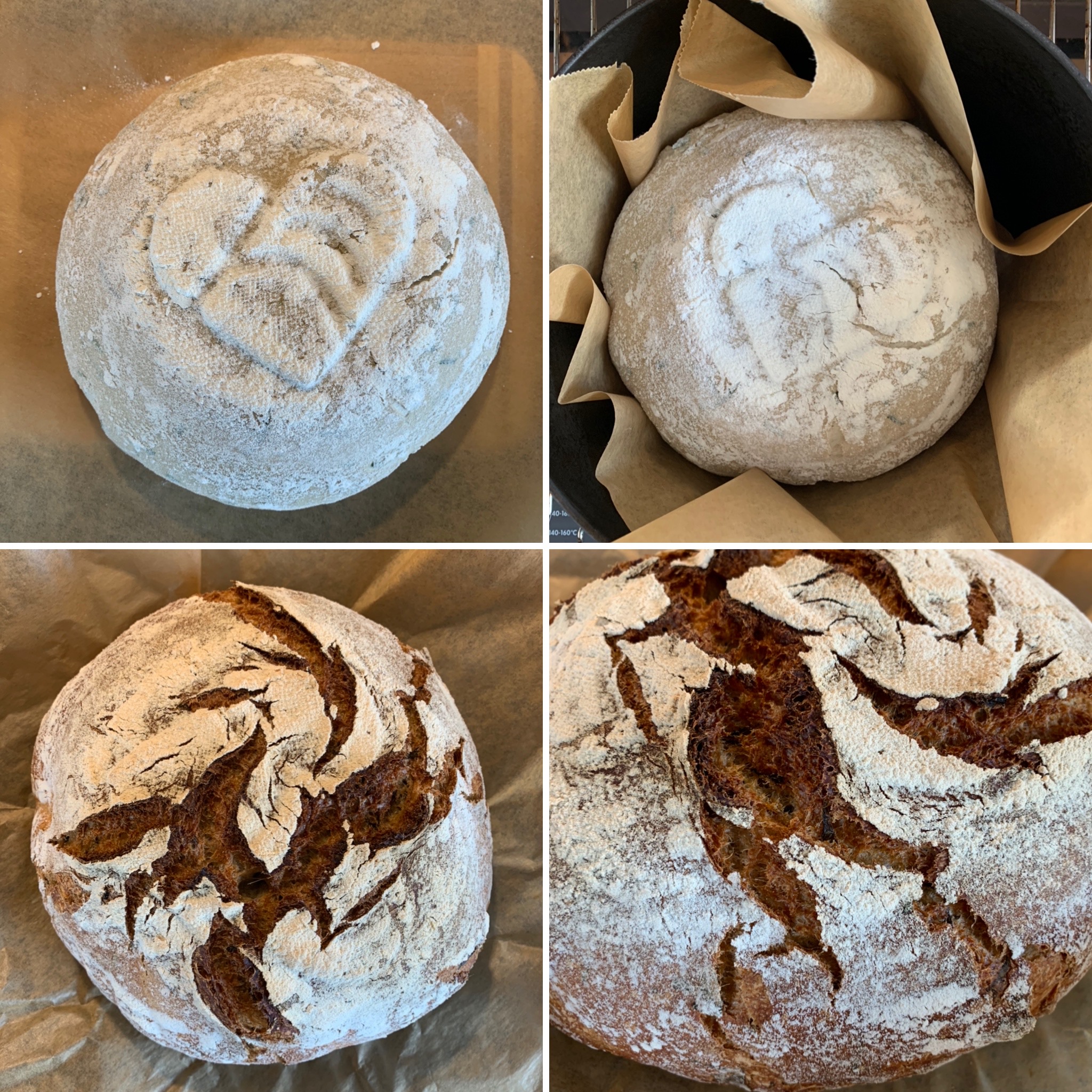 Bärlauchbrot (14)