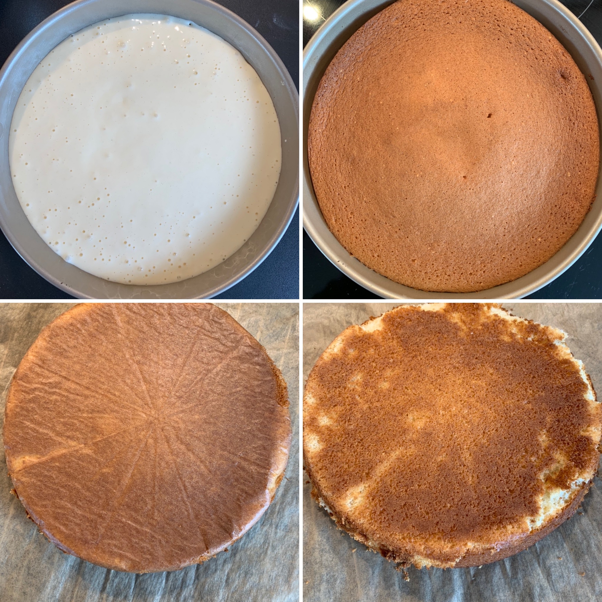 Boston Cream Cake (12)