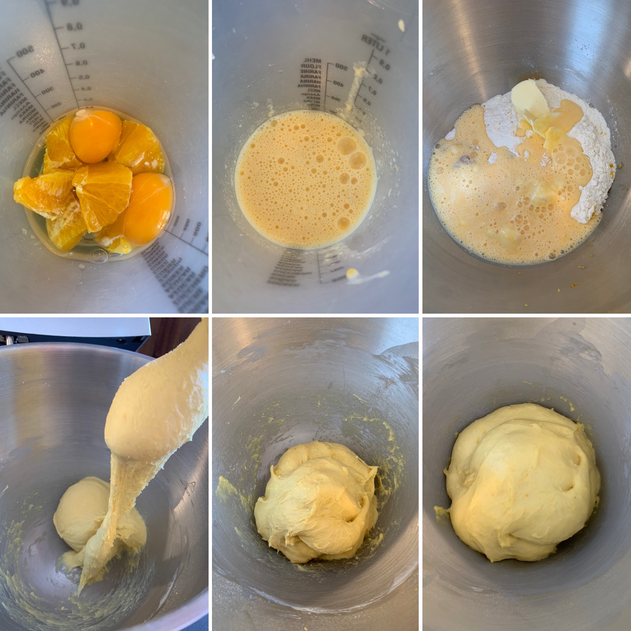 Orangenschnecken (2)