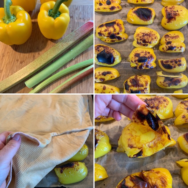 Paprika-Rhabarbersuppe (1)