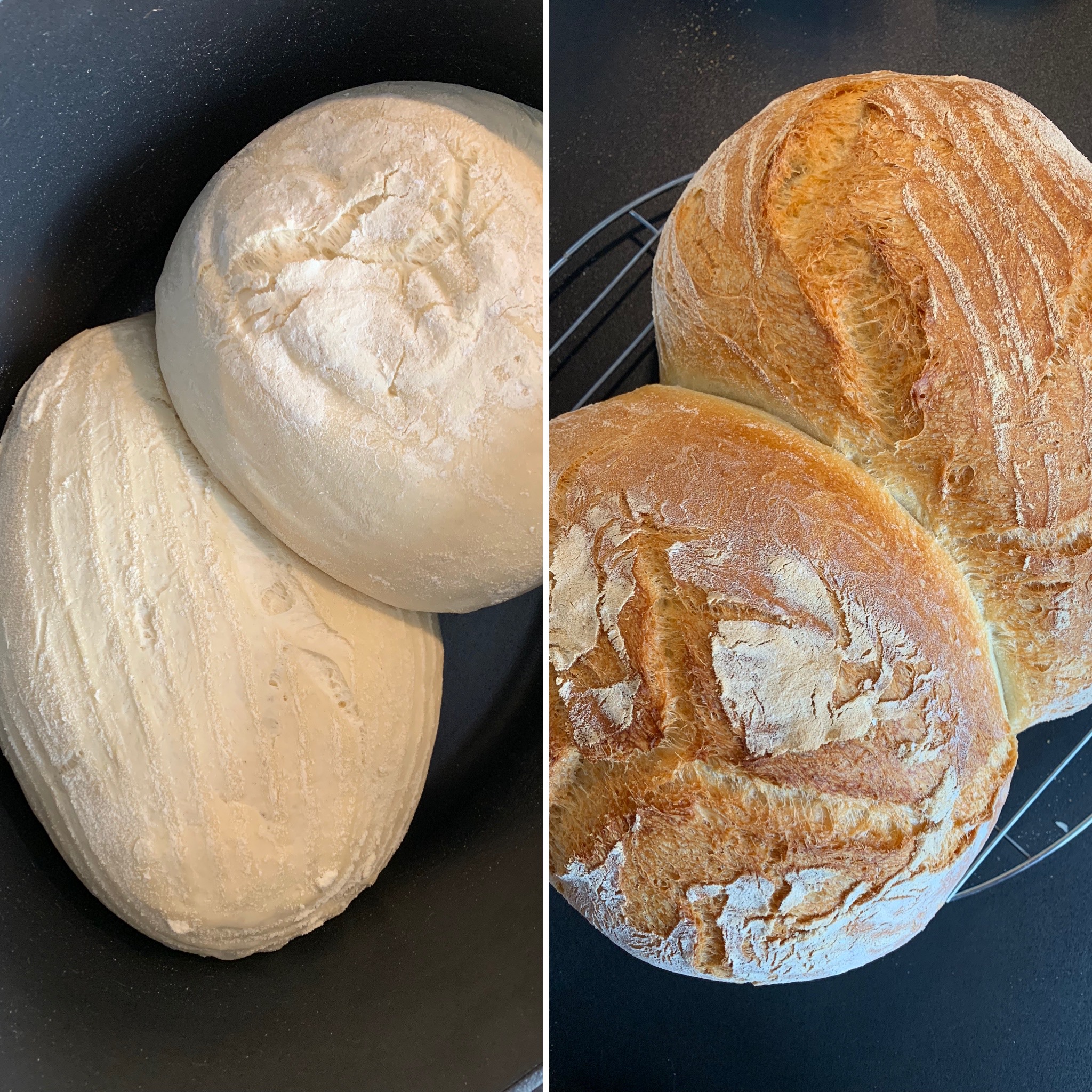 Pane di grana duro (17)
