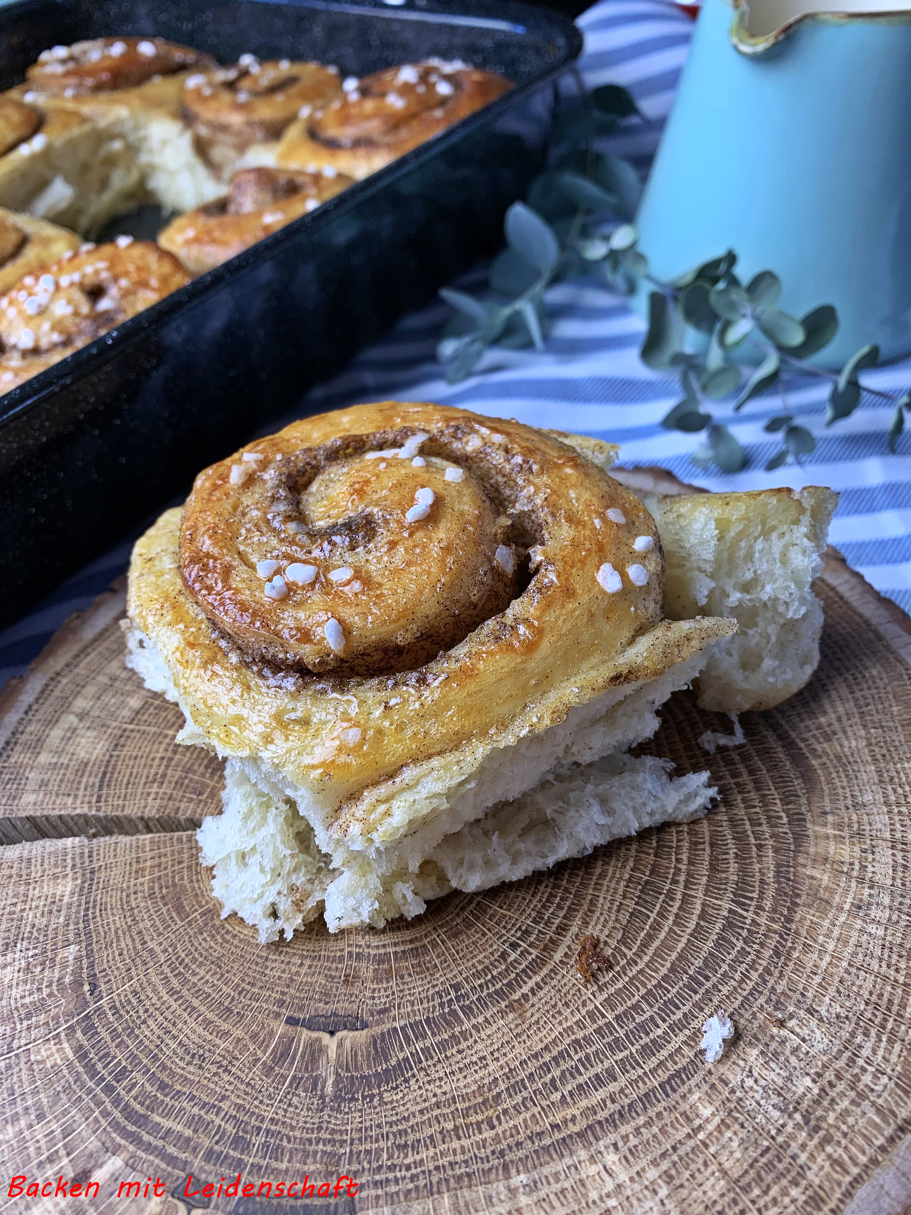 Zimtschnecken (12)