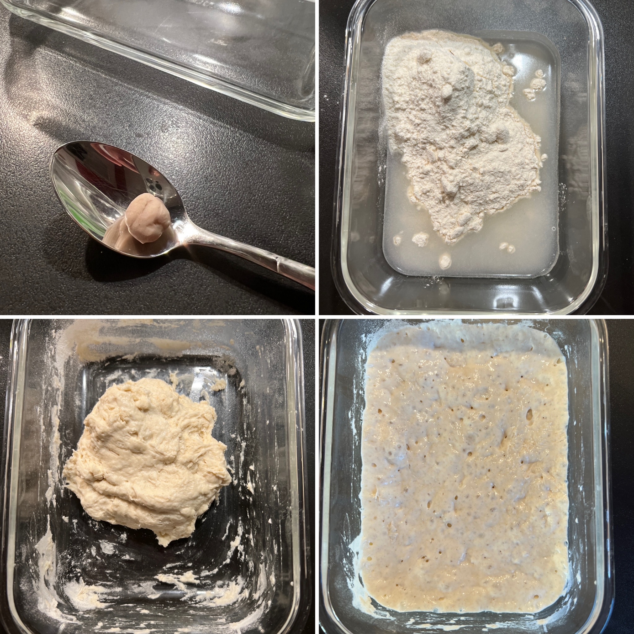 Kartoffel-Doppel (12)