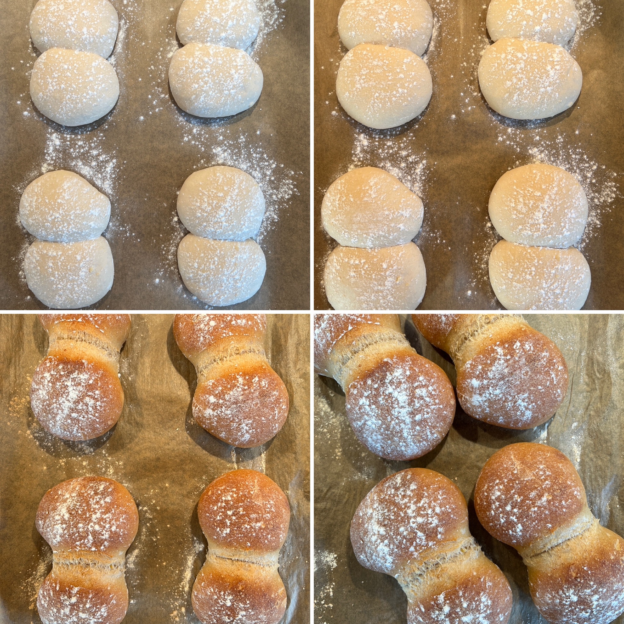 Kartoffel-Doppel (13)