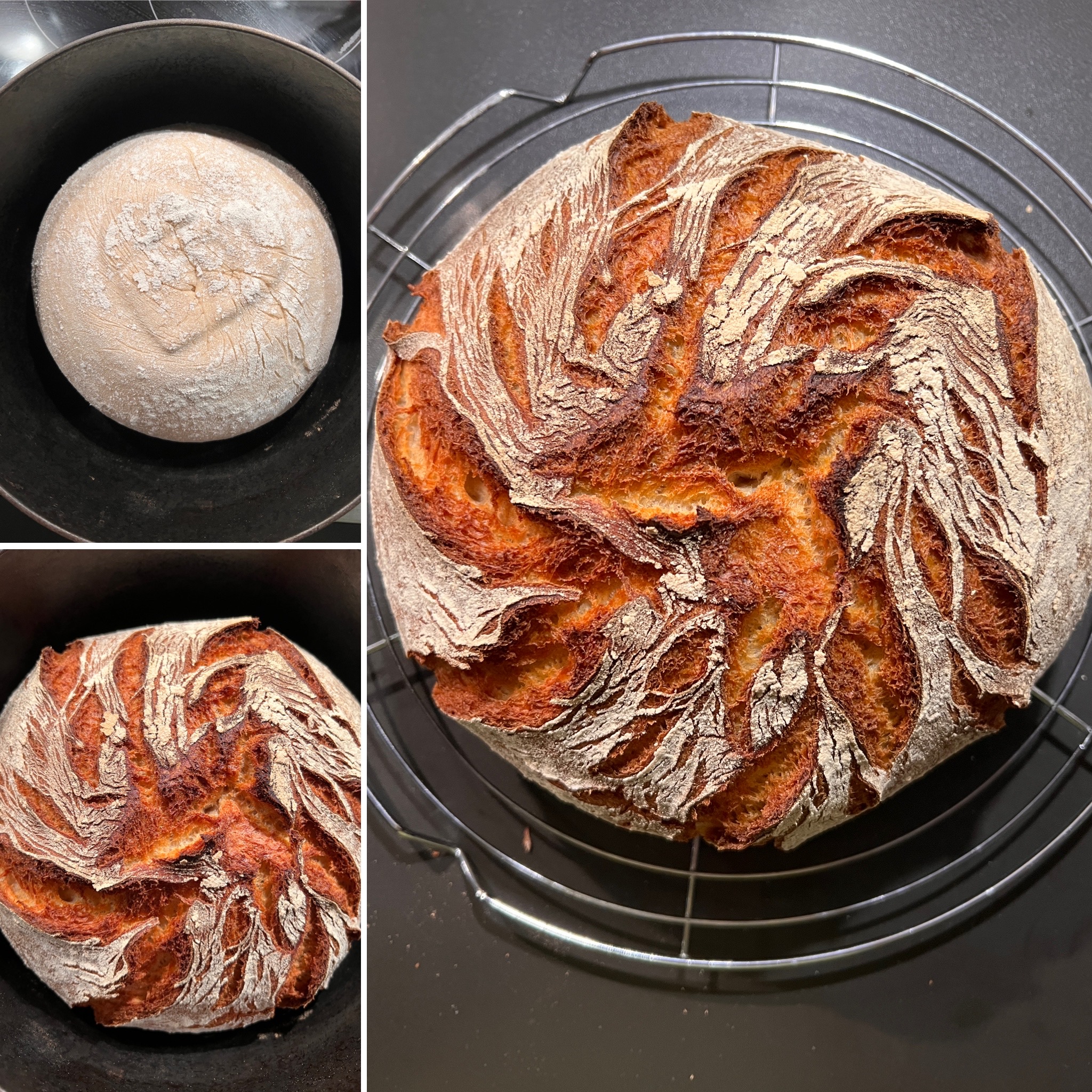 Buttermilchkruste (2)